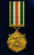 AC7 Piloted Medal.png