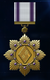 AC7 Not A Scratch Medal.png