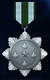 AC7 MP Victorious and Glorious Medal.png