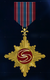 AC7 VR Gold Wings Medal.png