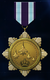AC7 MP All for the Glory Medal.png