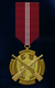 AC7 Gold Marksman Medal.png