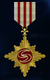 AC7 Gold Wings Medal.png