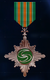 AC7 VR Bronze Wings Medal.png