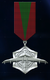 AC7 Dropping the Bird Medal.png
